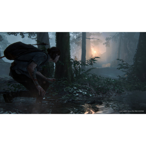 Одни из нас: Часть 2 (The Last of Us: Part 2)[PLAYSTATION 4]