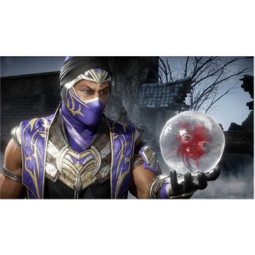 Mortal Kombat 11 Ultimate[PLAY STATION 4]